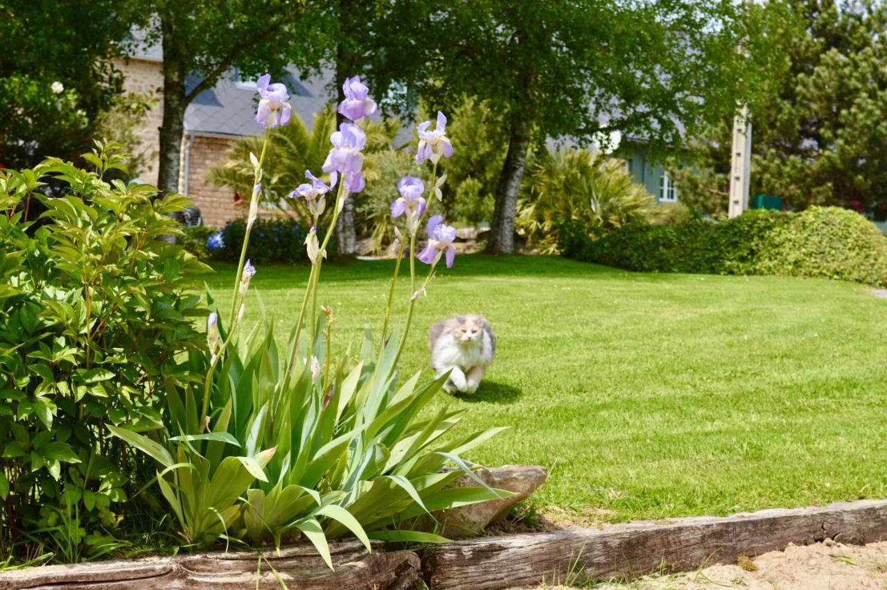 La Pichonniere Bed & Breakfast Isigny-le-Buat Екстериор снимка